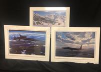 Fighter Jet Trio of Matted Posters 202//143